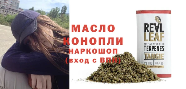 шишки Саяногорск