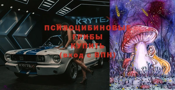 a pvp Абинск