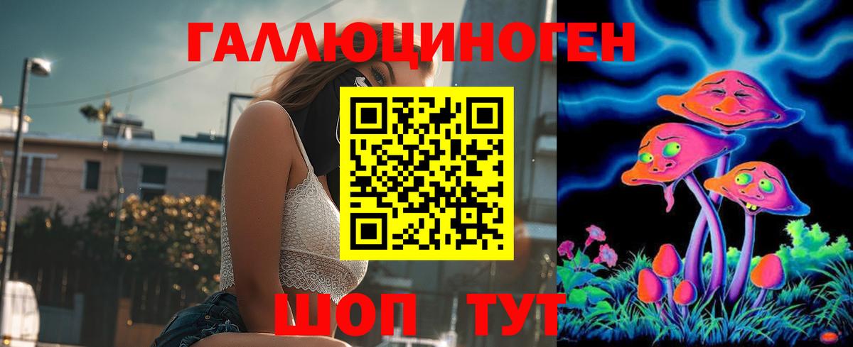 Ипатово  Галлюциногенные грибы GOLDEN TEACHER  Вход с VPN 
